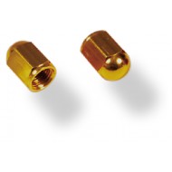 VALVE CAPS - GN269