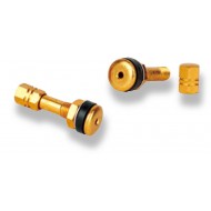 TIRE VALVE - P-CP041